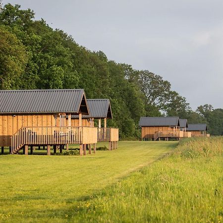 Composite Lodges With Shared Space In Drenthe 뤼너볼드 외부 사진