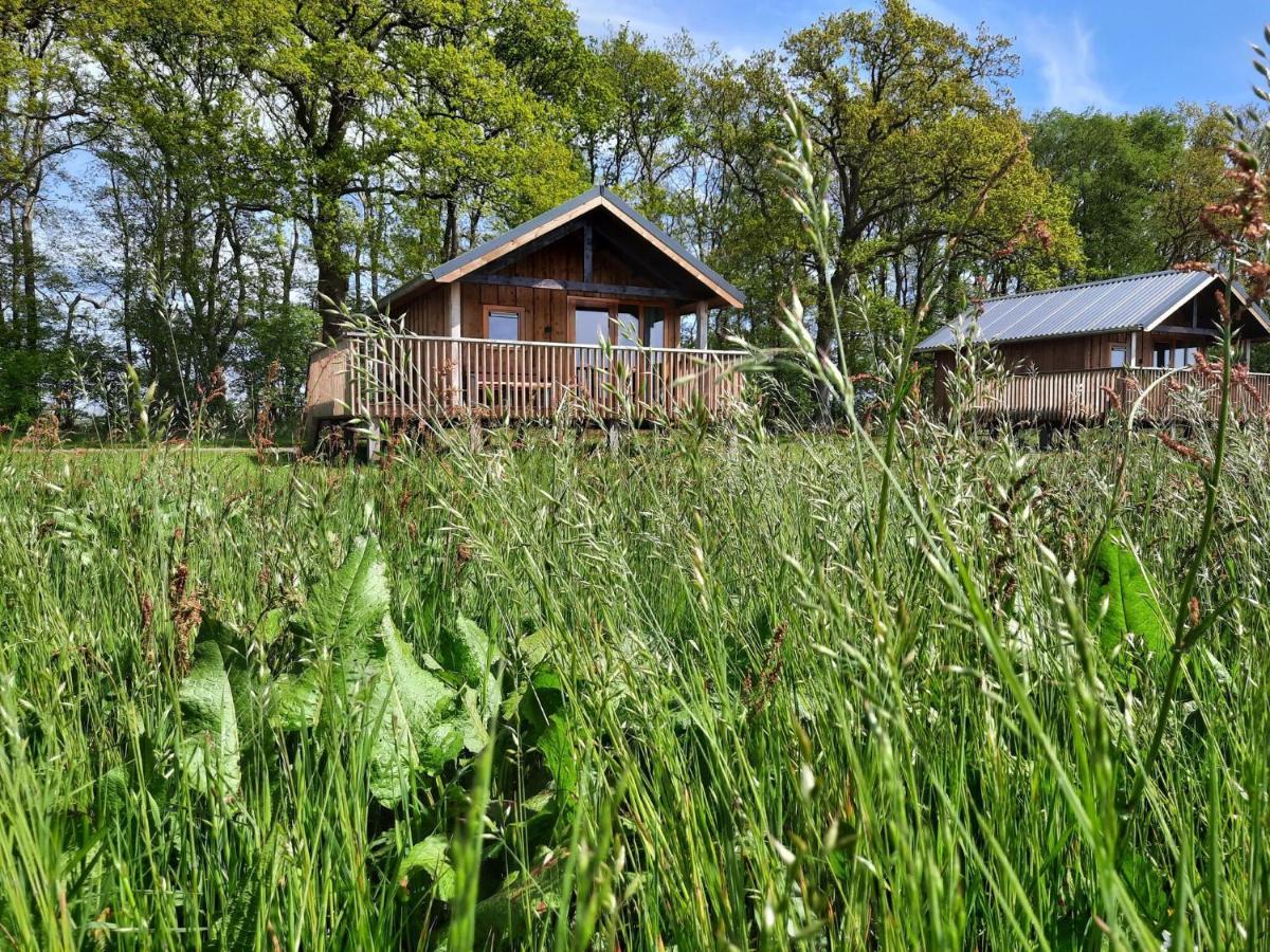 Composite Lodges With Shared Space In Drenthe 뤼너볼드 외부 사진