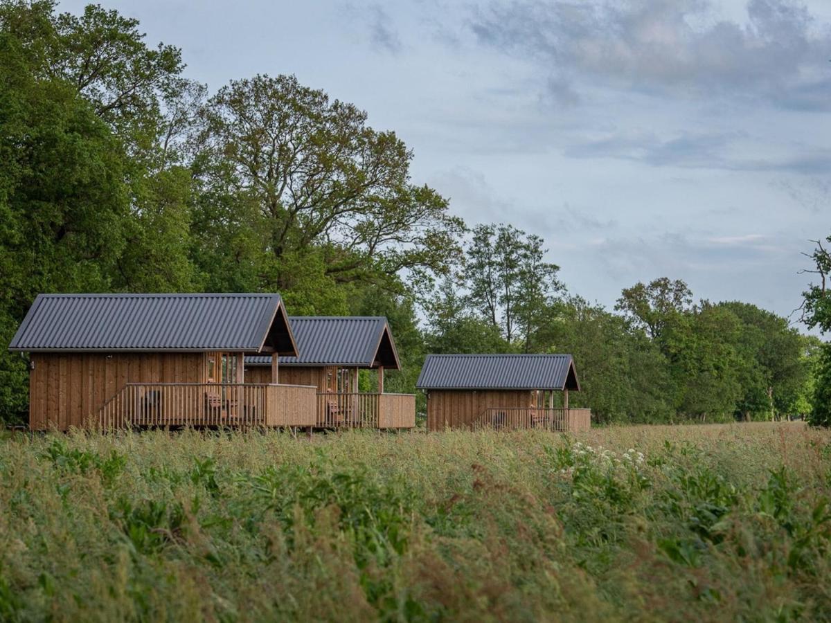 Composite Lodges With Shared Space In Drenthe 뤼너볼드 외부 사진